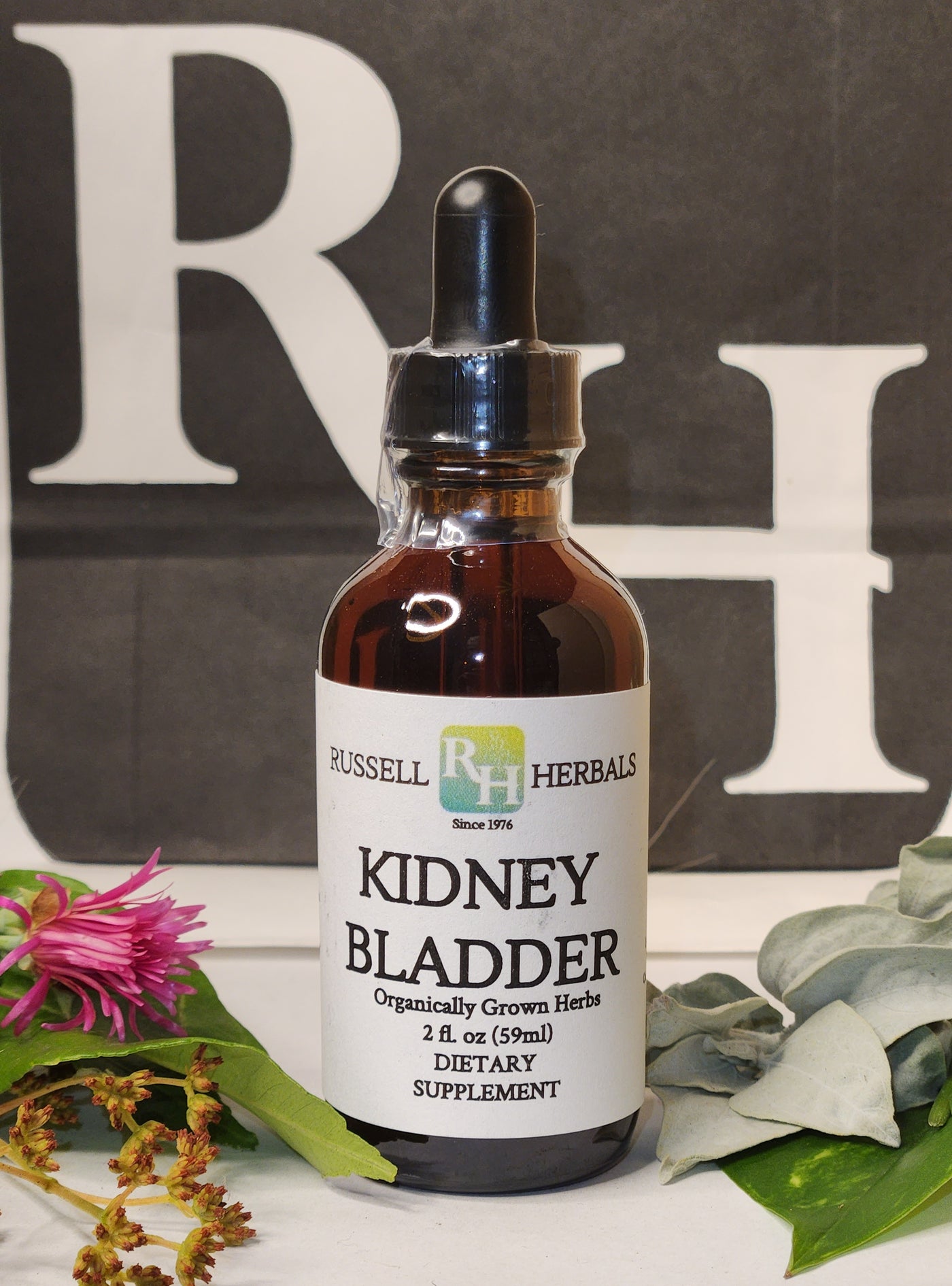 Kidney/Bladder