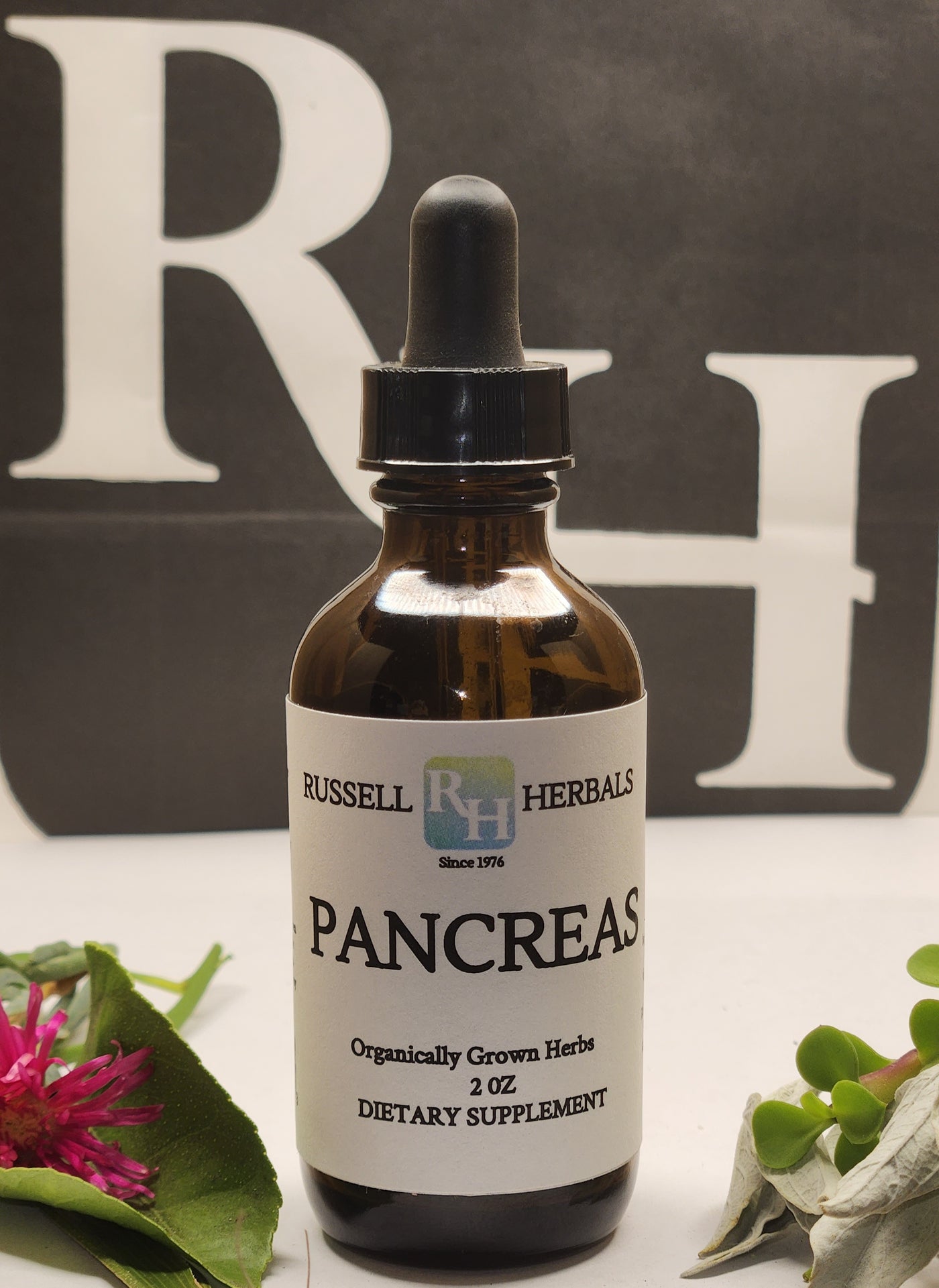 Pancreas