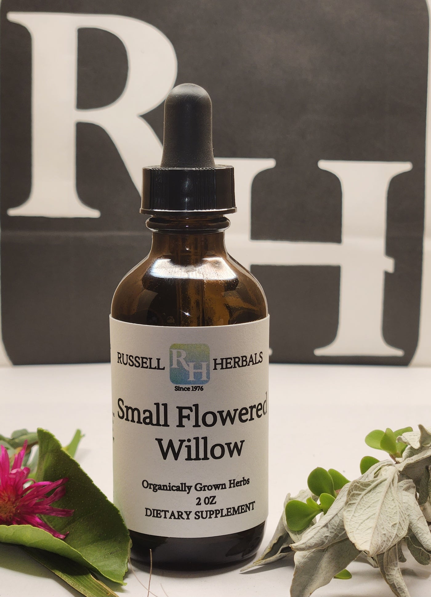 Small Flowered Willow