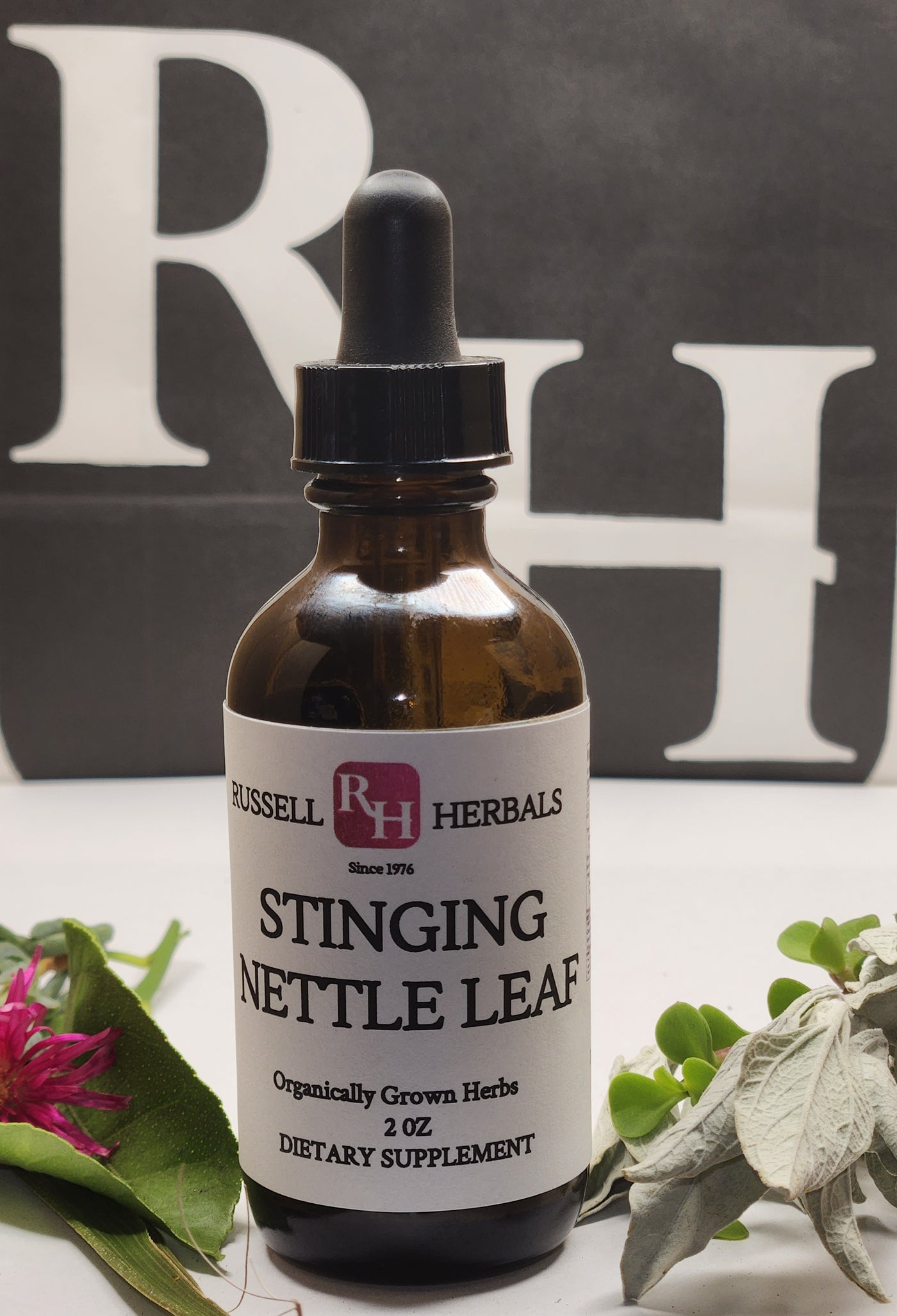 Stinging Nettle Leaf