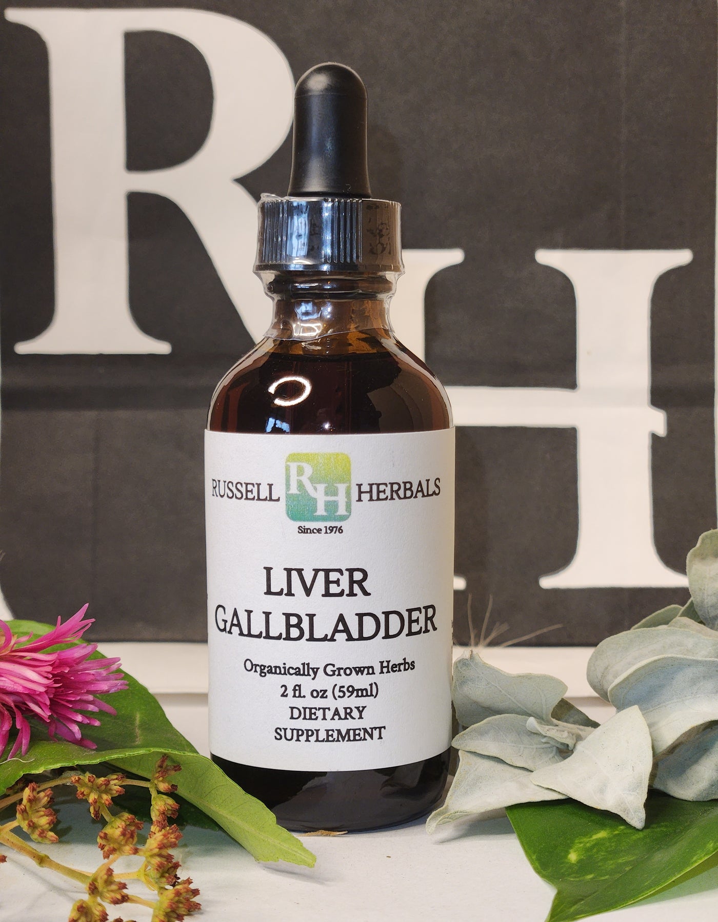Liver/Gallbladder