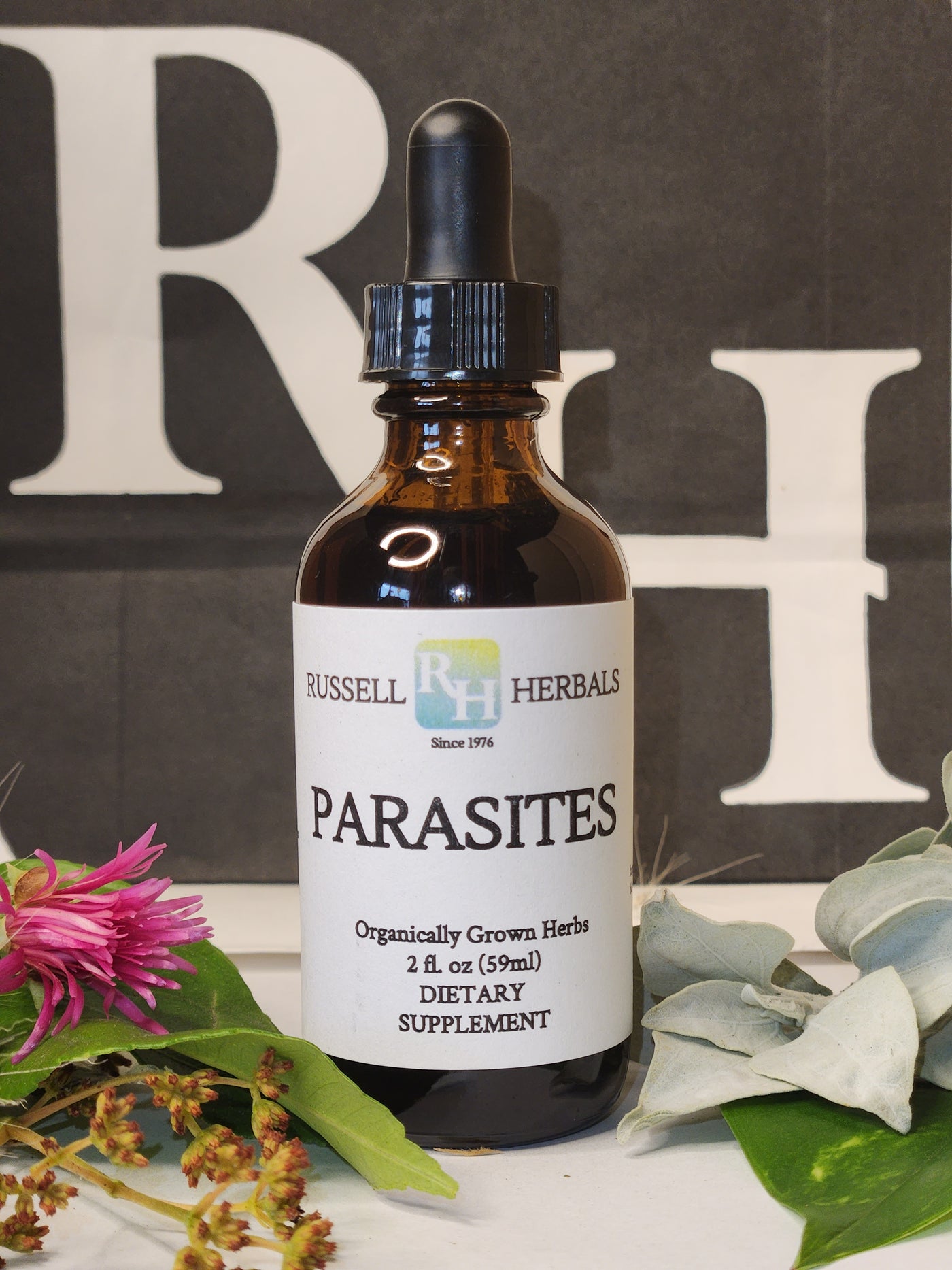 Parasite